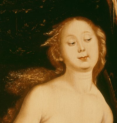 Detail from Eve, the Serpent and Death by Hans Baldung Grien